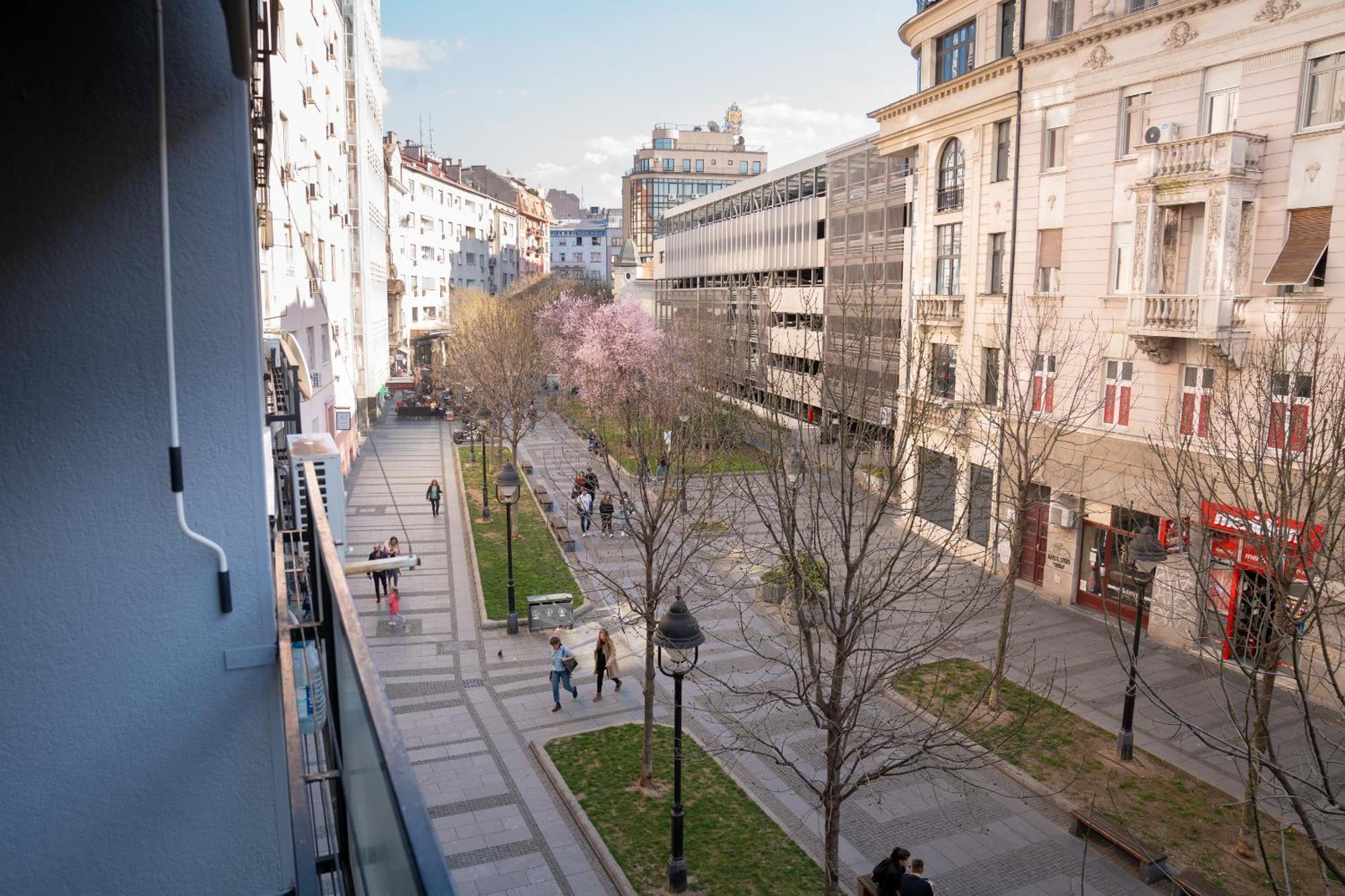 Tommy Apartment Belgrad Zewnętrze zdjęcie